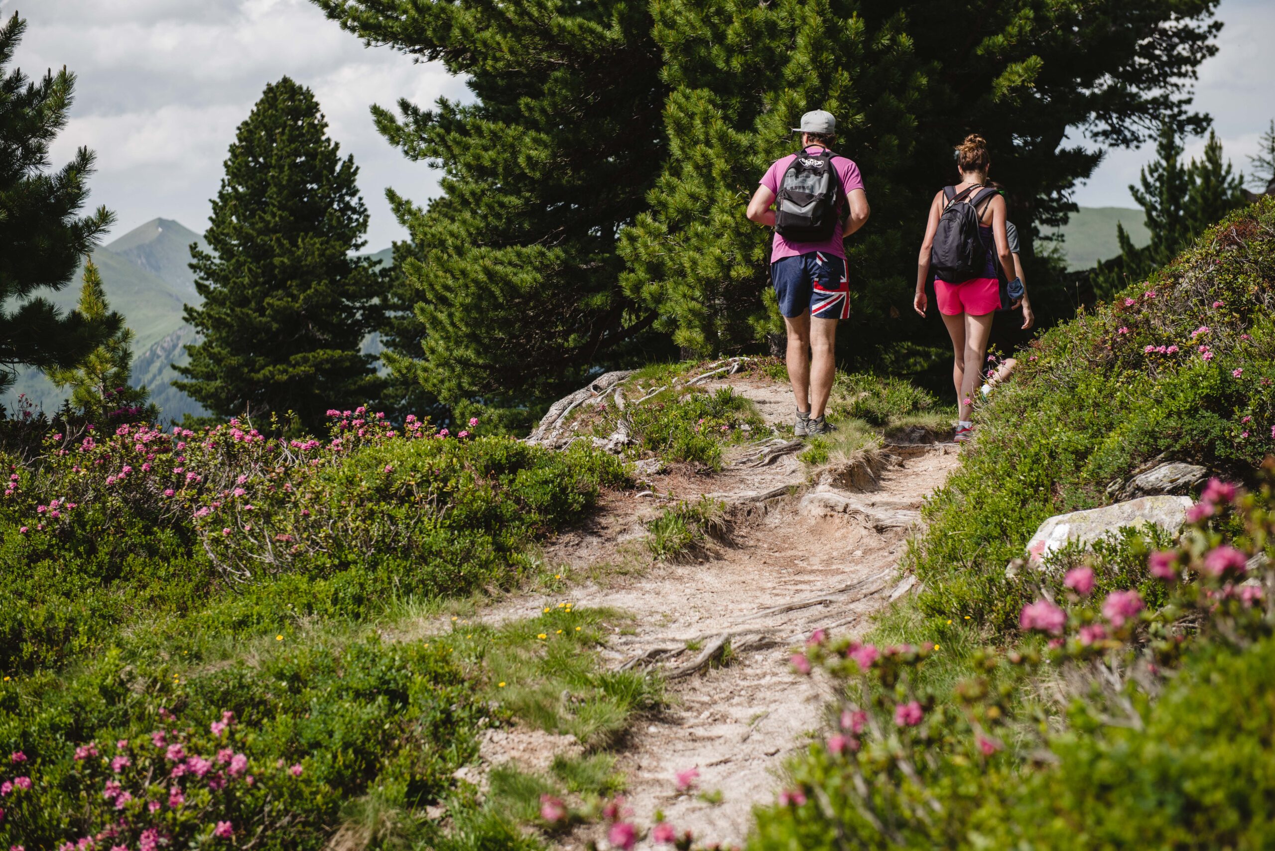 Wandern in Gastein - Frühling